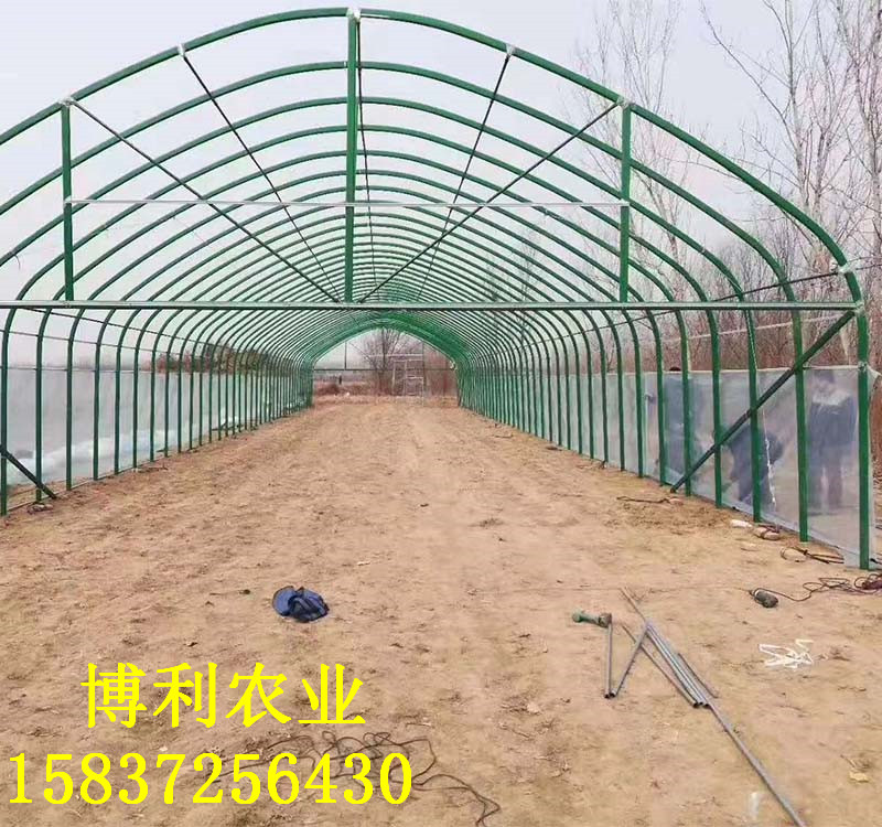 鍍塑大棚3