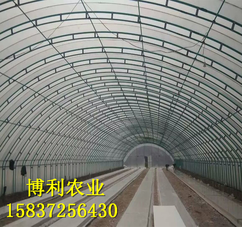 養(yǎng)殖大棚30